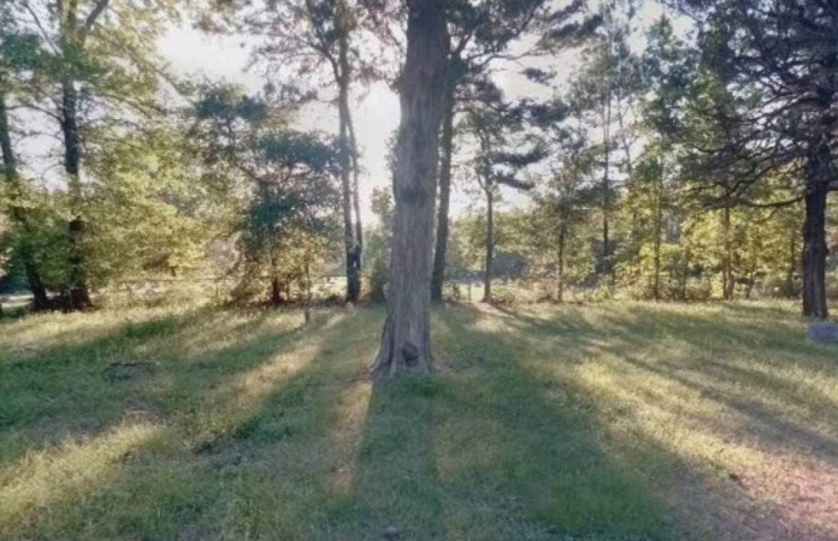 AKELIG! 'Geest van meisje' gespot op Google Street View (foto)