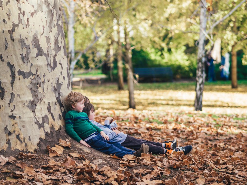 Vijf weekendtips om de herfst te vieren