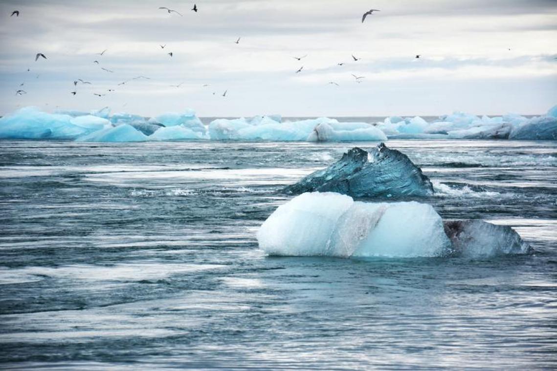 Klimaat: hoe meer studies, hoe groter de problemen