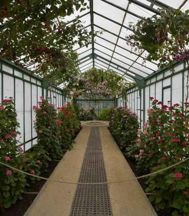 Bezoekersaantal koninklijke serres lijdt onder veiligheidsmaatregelen en Floraliën