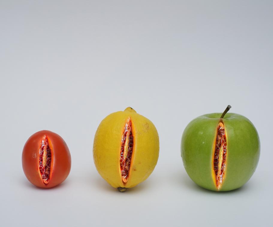 Expo Vulva la Vita zet vrouwelijke intieme delen in de kijker