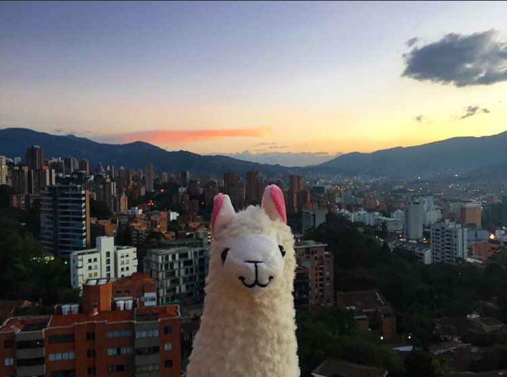 Van deze knuffelbare Instagrampagina krijg je instant minder stress