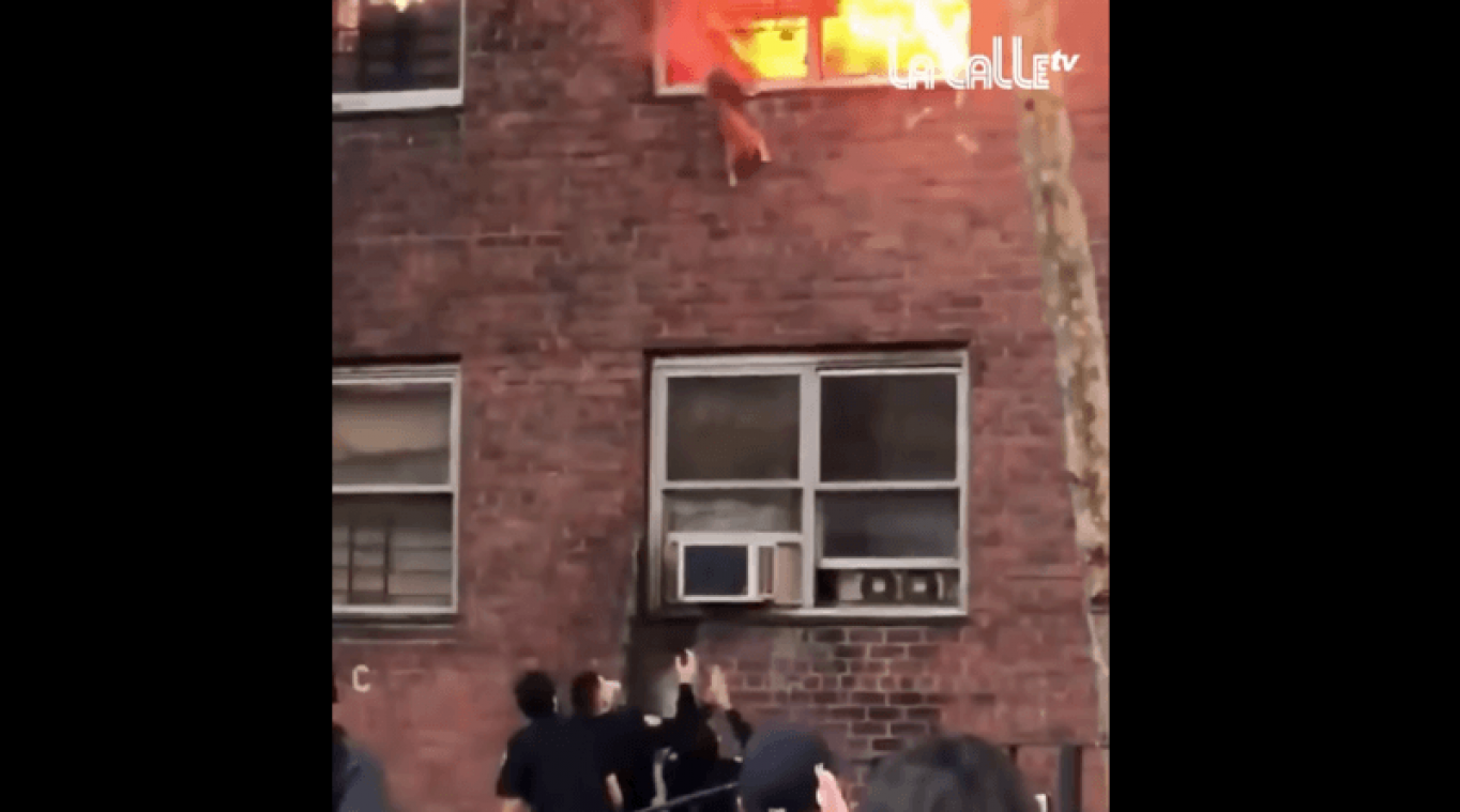 WOW. Zwartgeblakerde kat redt zichzelf uit brandend gebouw met spectaculaire sprong (video)