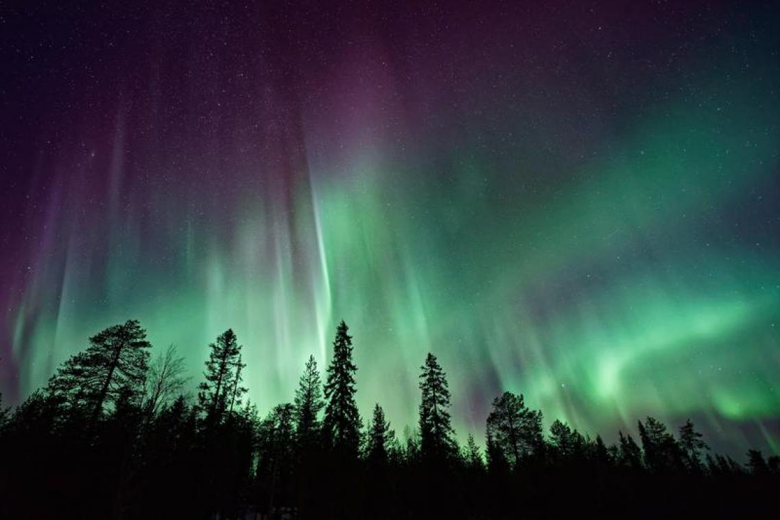 WOW! Via deze app kan je het Noorderlicht live bewonderen