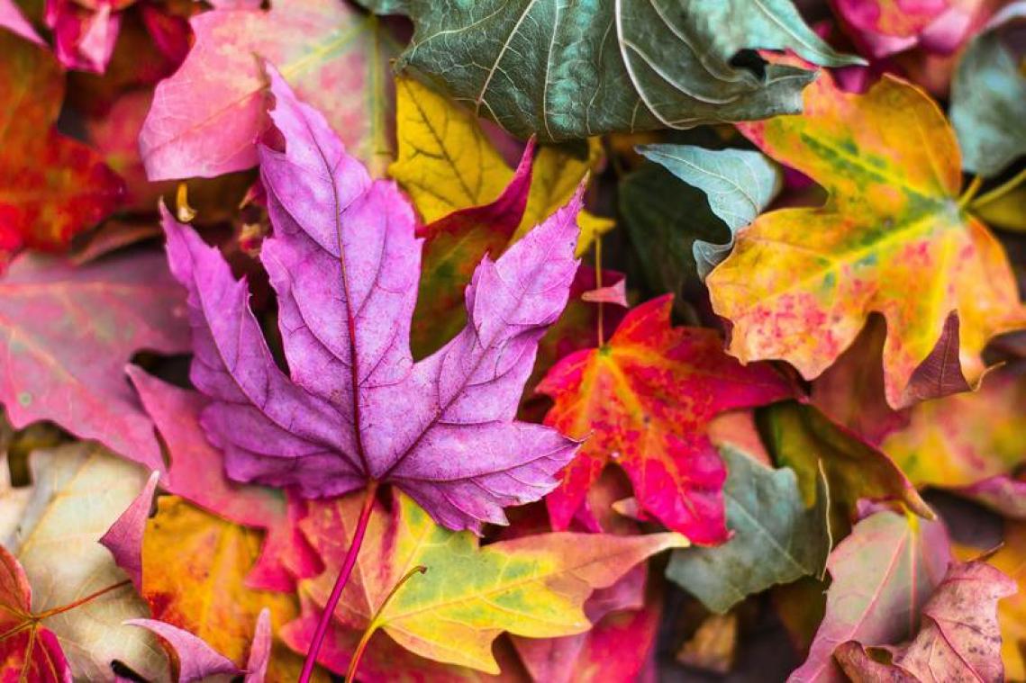 Oktober was warmste oktobermaand ooit in Europa