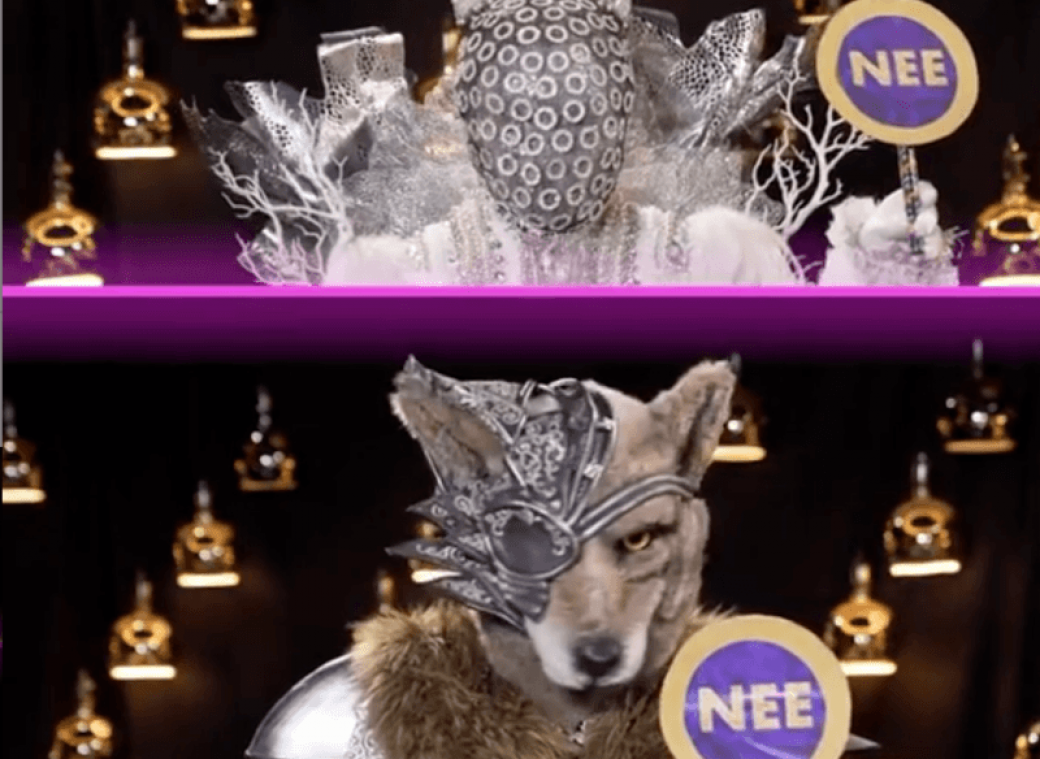 'The Masked Singers' verraden laatste geheimen voor de finale (video)