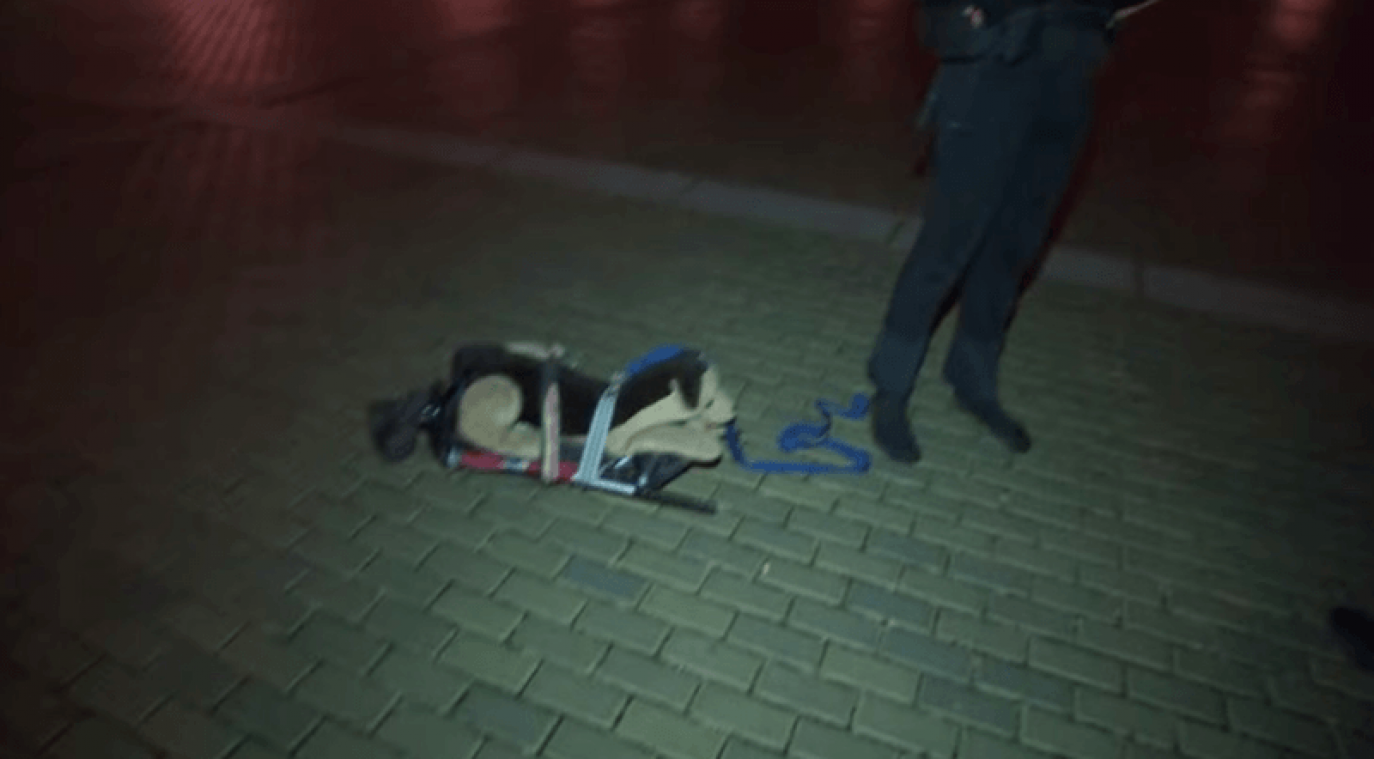 Tsjech omzeilt avondklok dankzij dit bijzonder stuk speelgoed
