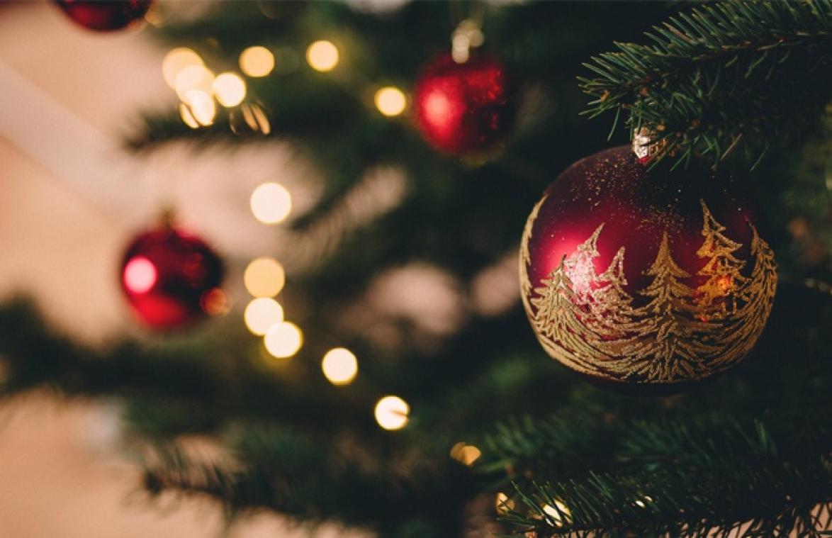 Vrouw zet kerstboom, maar het resultaat is absoluut NIET wat ze verwacht had (foto)