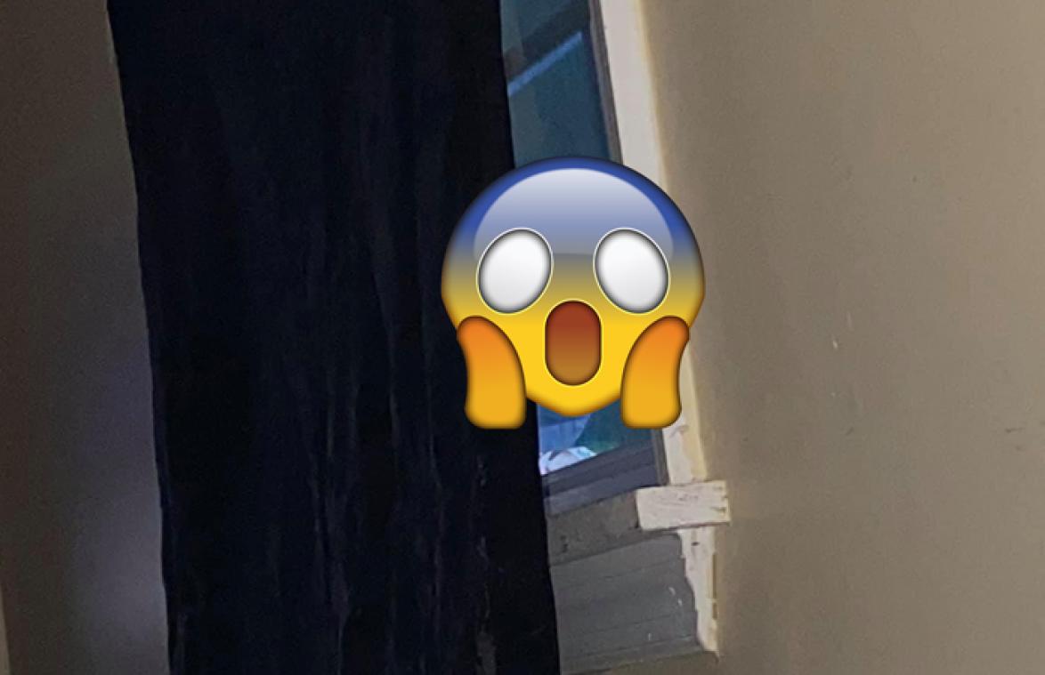 Vrouw schrikt zich te pletter als ze plots DIT door het raam ziet (foto)