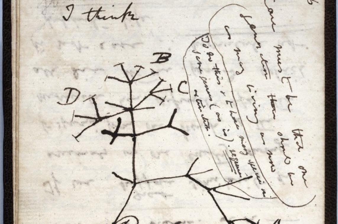 BIZAR. Notitieboekjes van Darwin al 20 jaar spoorloos: "We dachten dat ze in het verkeerde boekenrek stonden"