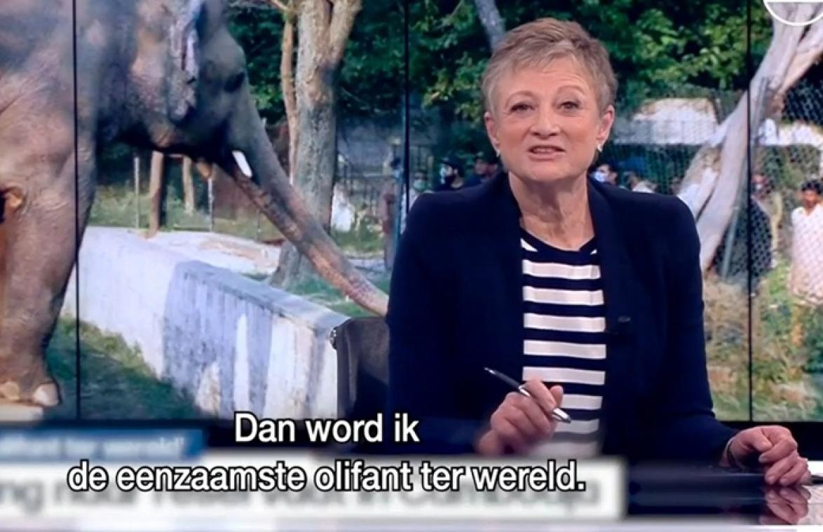 Hilarische parodie van afscheid Martine Tanghe: "De VRT stort morgen twee miljard euro op mijn rekening" (video)