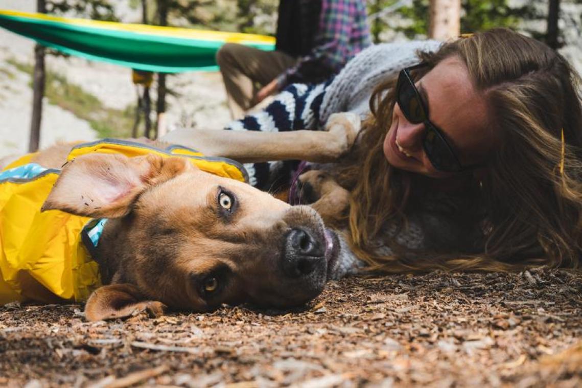 We zeggen vaker ik hou van je tegen onze hond dan onze moeder
