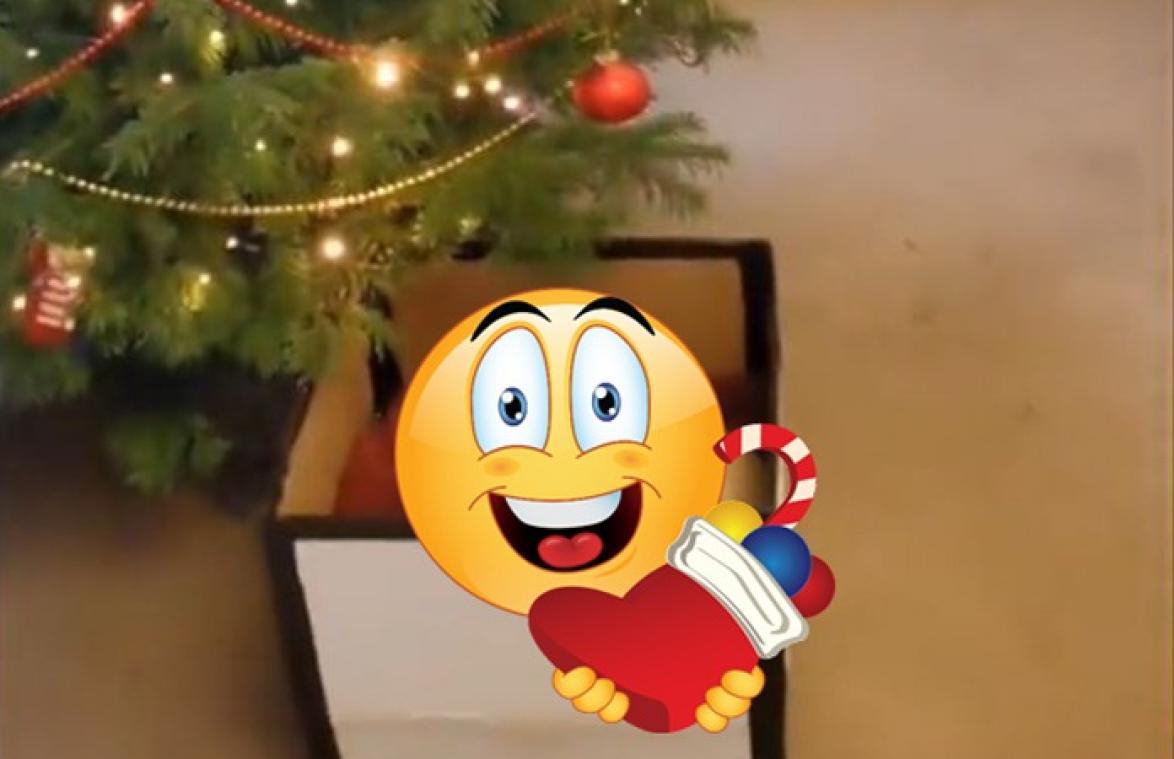 SCHATTIG! Hond krijgt mooiste kerstcadeau dat hij zich kan inbeelden (video)