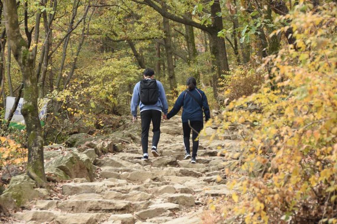 Daarom maakt wandelen ons mentaal gelukkiger (en het is niet wat je denkt)