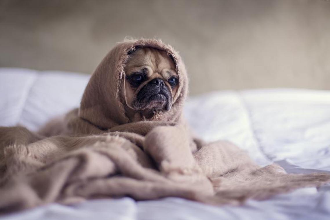 Drie manieren om de stress tijdens het thuiswerk tegen te gaan