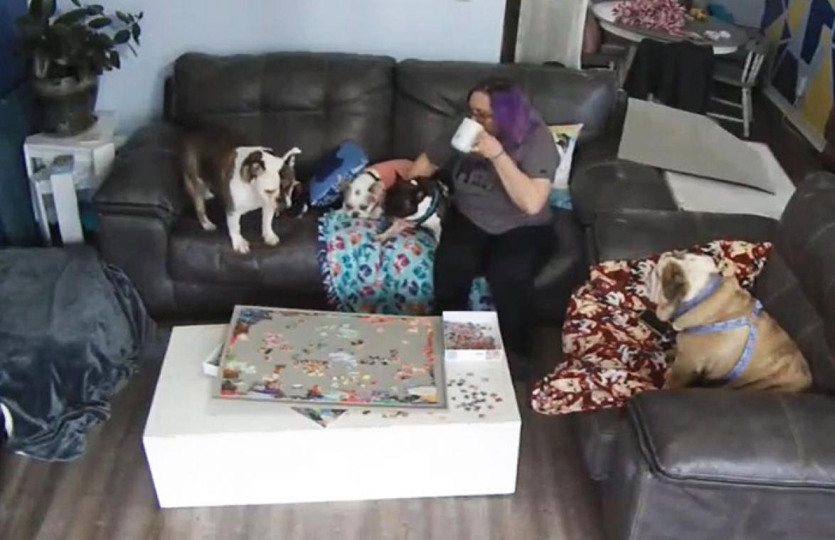 OH NEE! Vrouw is bezig aan puzzel, maar dan doet haar hond DIT... (video)