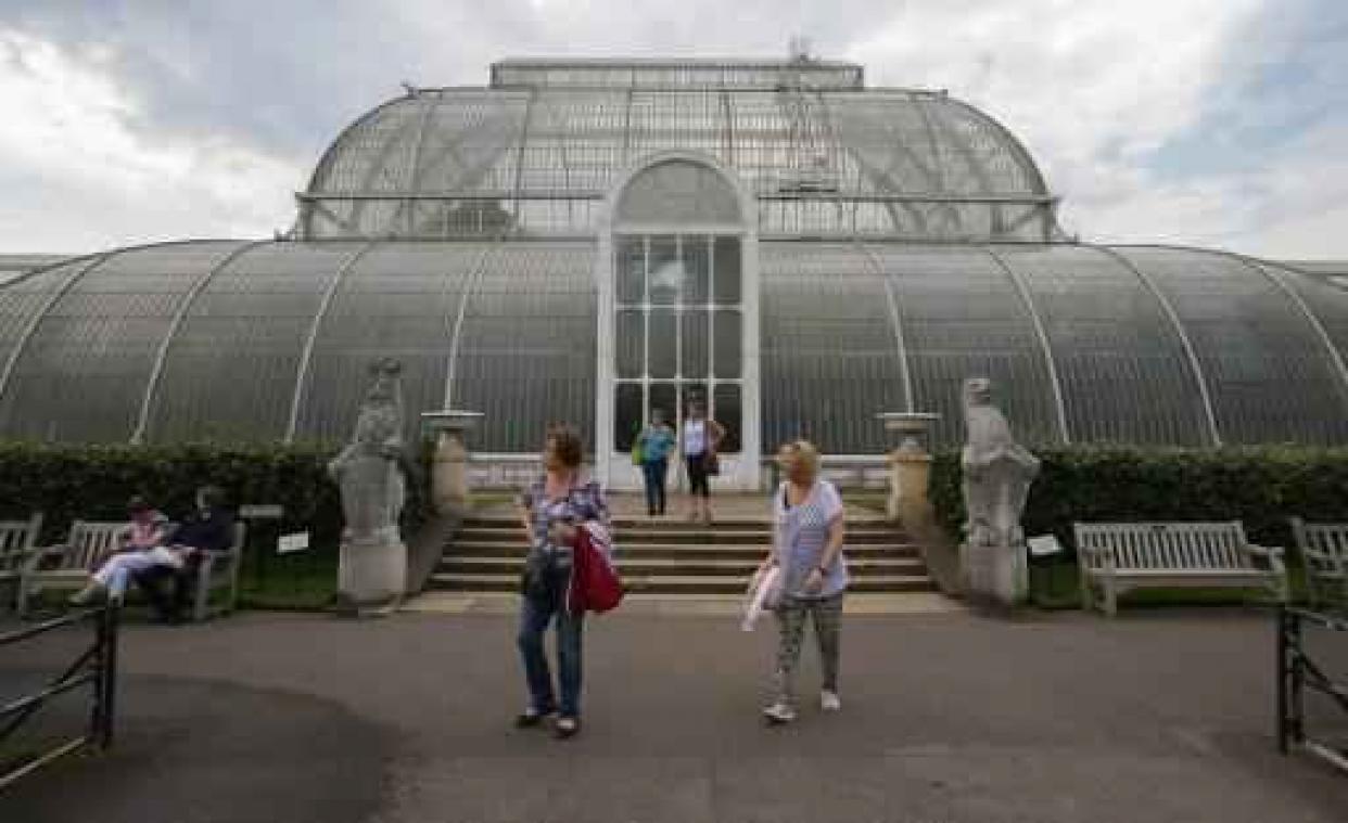 Britse wetenschappers stellen voor het eerst uitgebreid plantenverslag voor