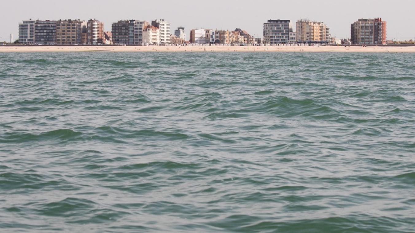 Noordzee herbergt steeds meer exotische dieren en planten