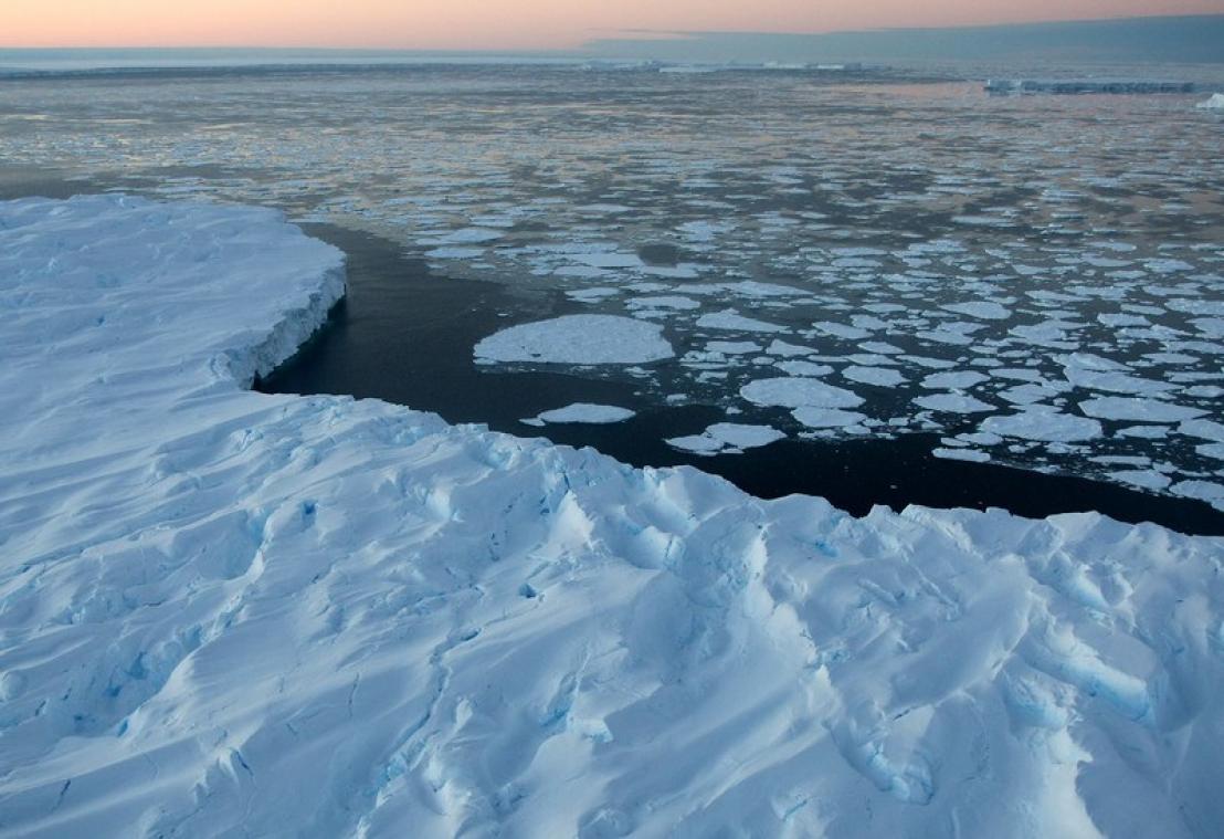 Microleven op Antarctica is veel rijker dan vroeger gedacht