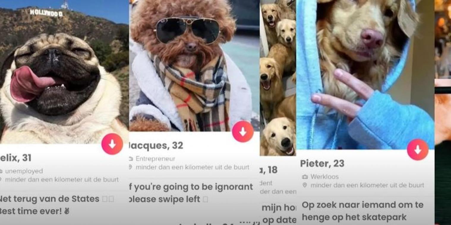 DIT is de reden waarom je plots hondenprofielen tegenkomt op Tinder