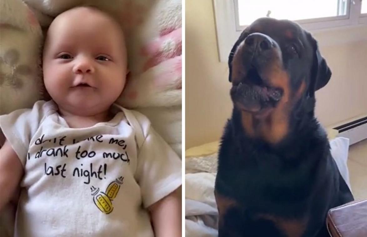 Baby probeert voor het eerst 'mama' te zeggen, maar hond is haar voor (video)