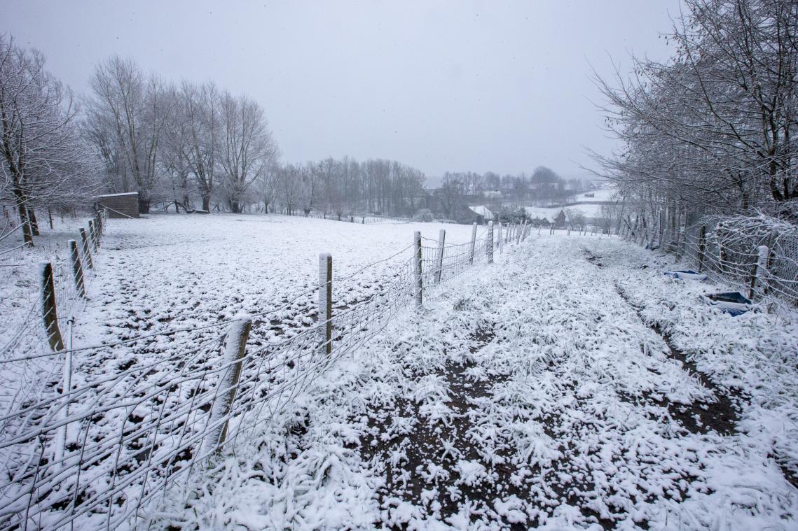 Kwik daalt komende dagen tot wel heel lage temperaturen