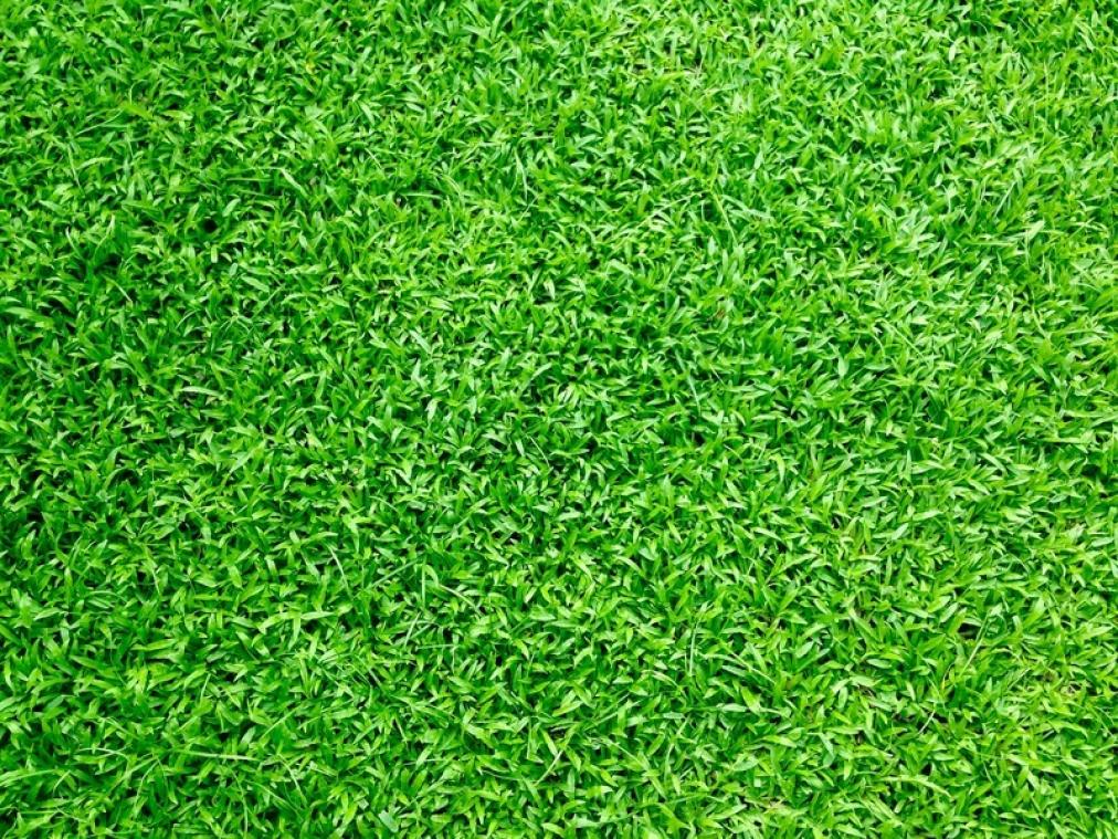 Voordelen van kunstgras