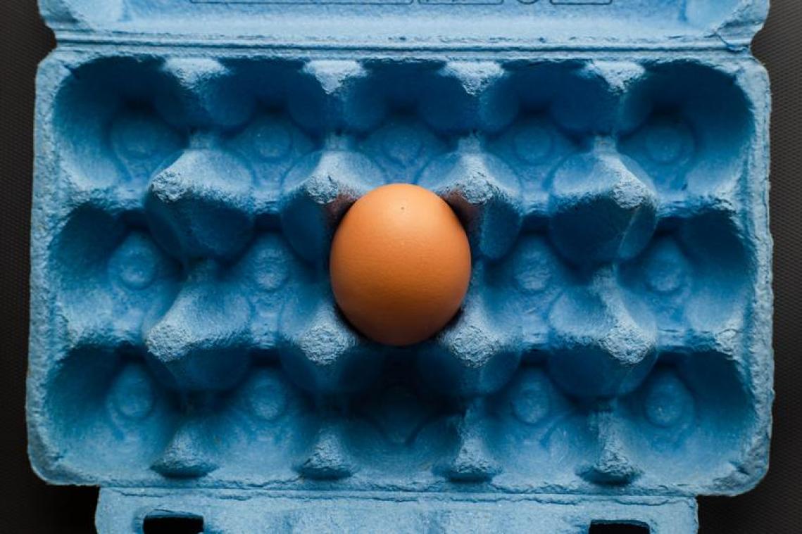 "Een ei per dag eten verhoogt kans op diabetes"