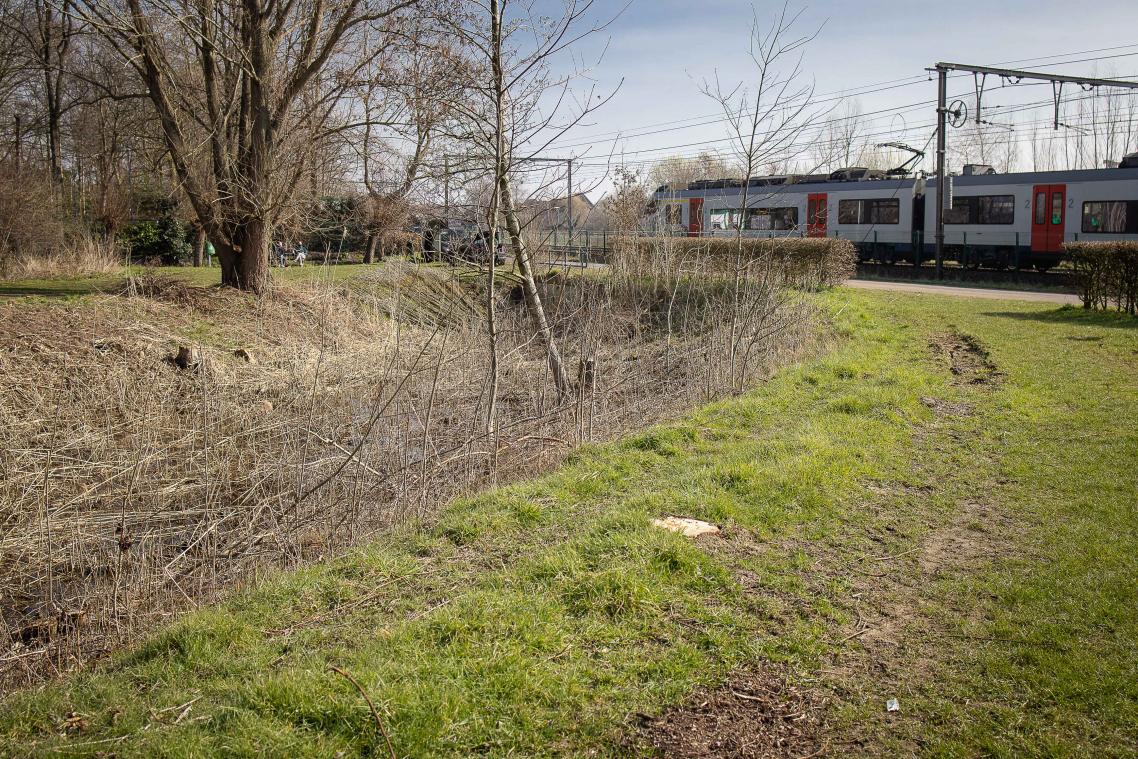 Drie minderjarigen opgepakt voor moord in Beveren, homohaat lijkt motief