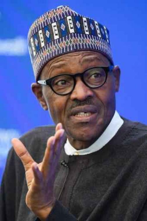 Nigeriaanse president "heeft geen excuses nodig" van Cameron
