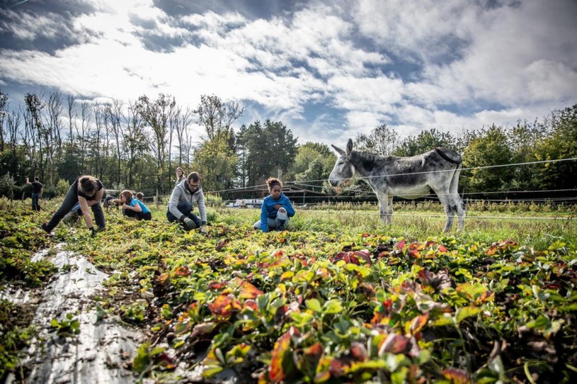 Business as usual' geen optie in het post-coronatijdperk