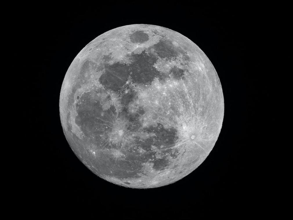 BIZAR. Wetenschappers willen spermacellen naar de maan sturen, en dit is waarom