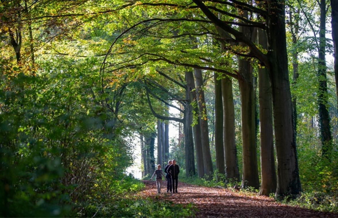 Volgende week kunnen we genieten van erg mooi weer