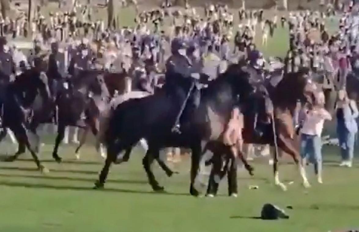 Vrouw die op La Boum door paard werd omvergelopen: "Dit had fataal kunnen aflopen"