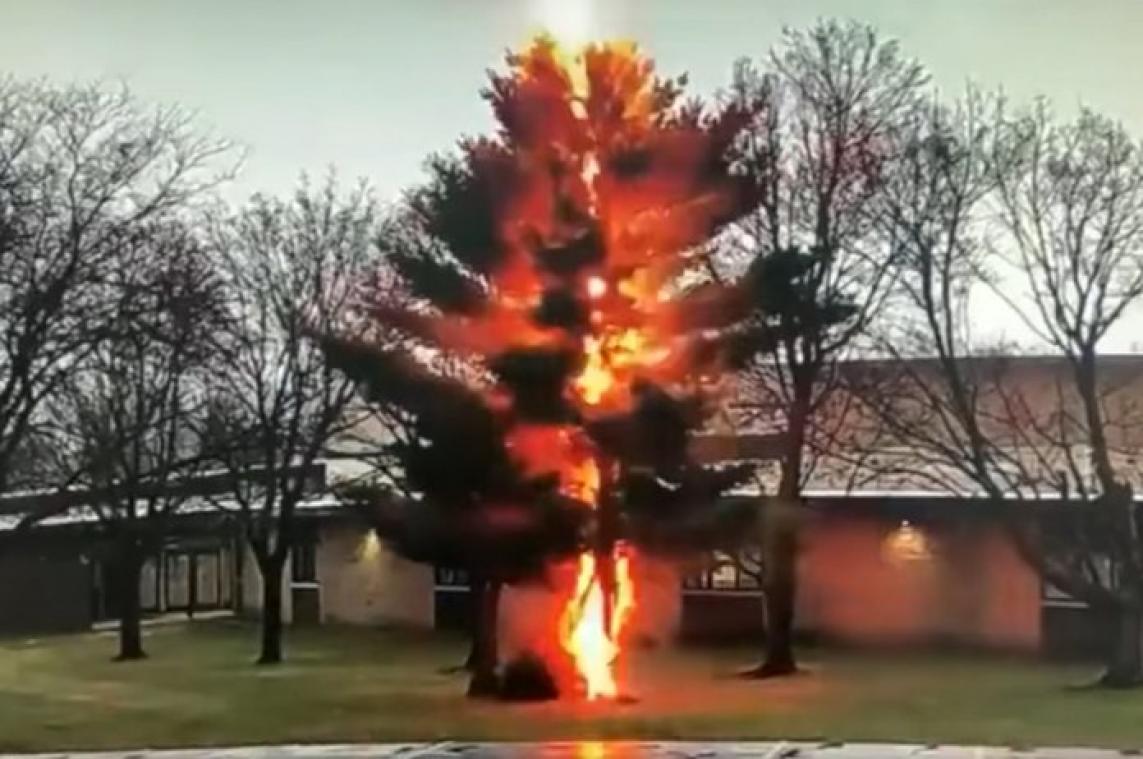 WOW. Bliksemschicht treft boom, die als kaartenhuisje in elkaar stuikt (video)