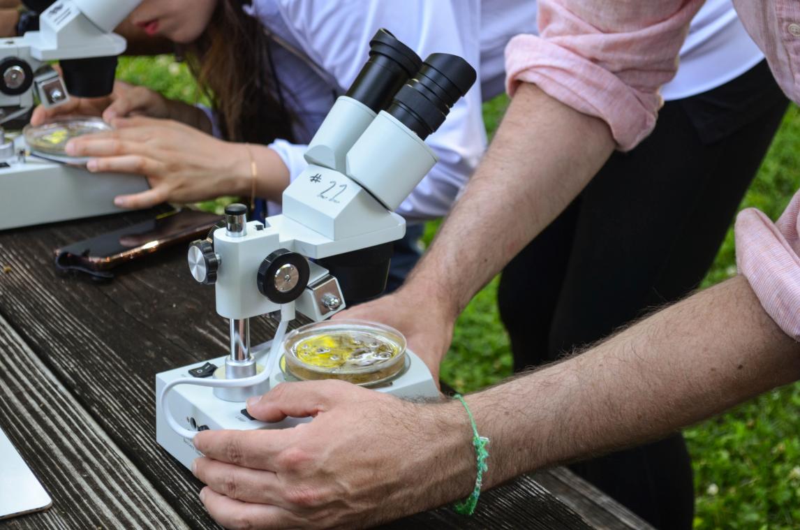 Nieuw ontdekte diersoort vernoemd naar coronavirus