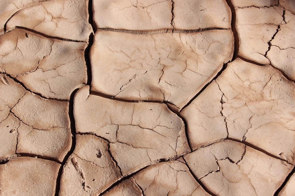 "Mensen gebruikten 12.000 jaar geleden al driekwart van de aarde"