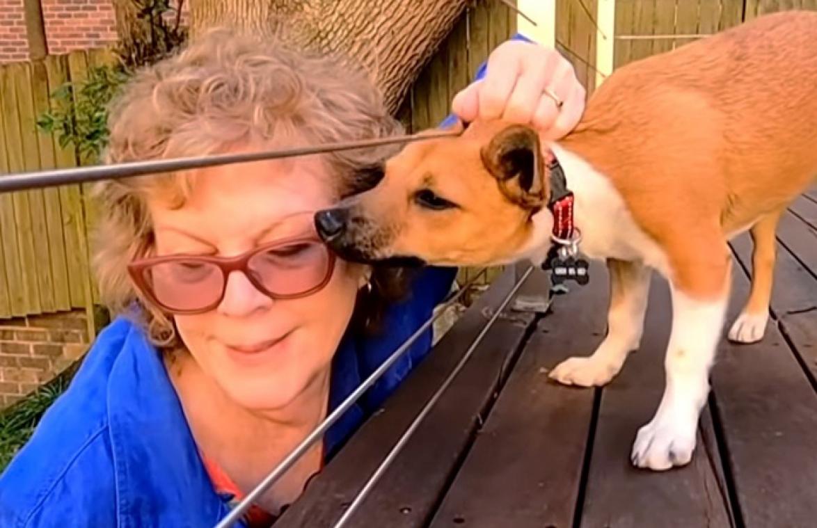 Baasje treft vreselijke boodschap aan bij hond: "Sorry, maar ik kon niet anders" (foto)