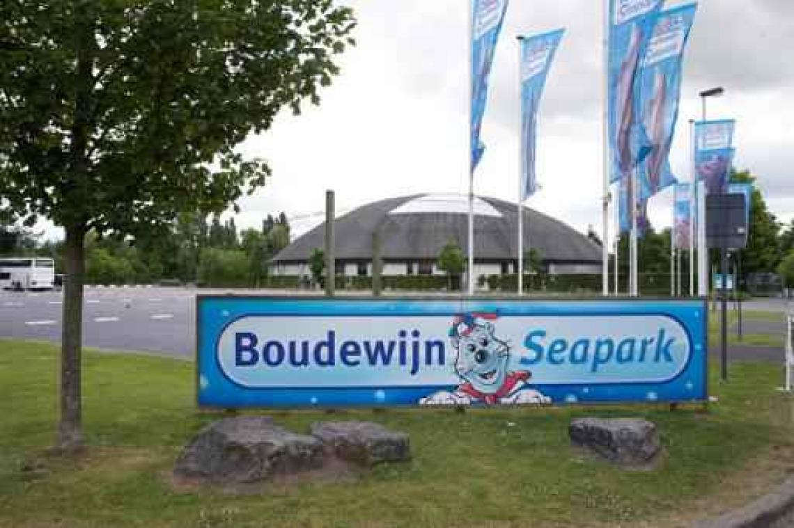 Boudewijn Seapark viert vijftigste verjaardag van dolfijn Puck