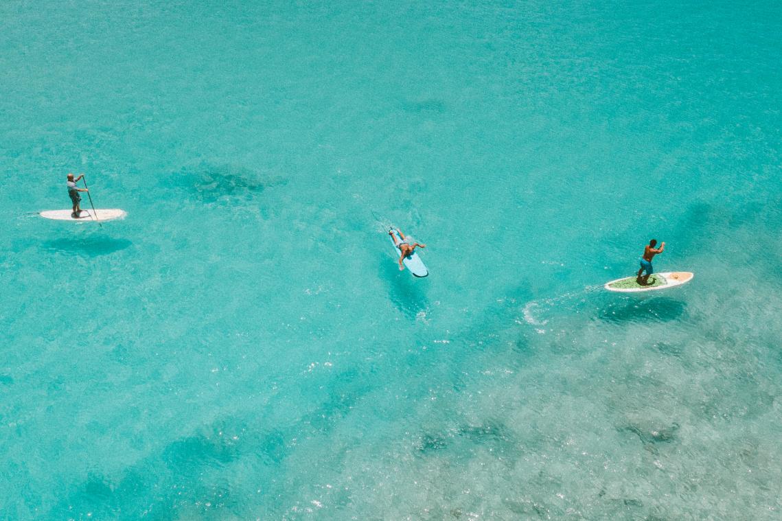 WOW. Paddleboarder krijgt verrassing van zijn leven: Opeens zwom het naast mij (video)