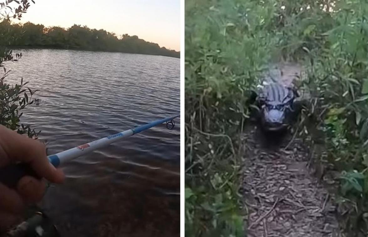 AKELIG! Man is rustig aan het vissen, maar dan duikt er plots een enorme krokodil op die hem achtervolgt (video)