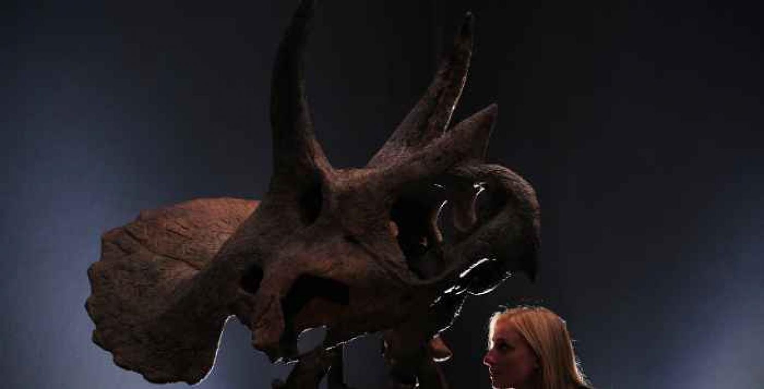 Amateurpaleontoloog stuit per toeval op nieuwe dinosaurus