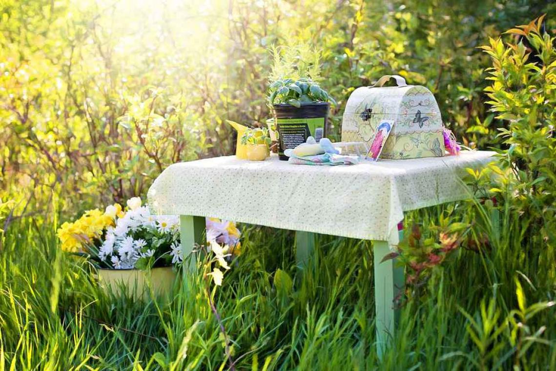 Maak je tuin zomerproof