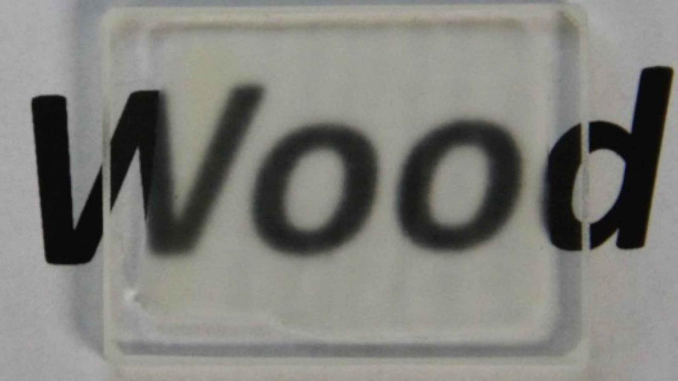 Wetenschappers ontwikkelen transparant hout