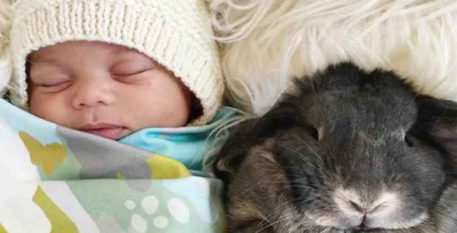Baby Finn is onafscheidelijk van zijn konijntjes