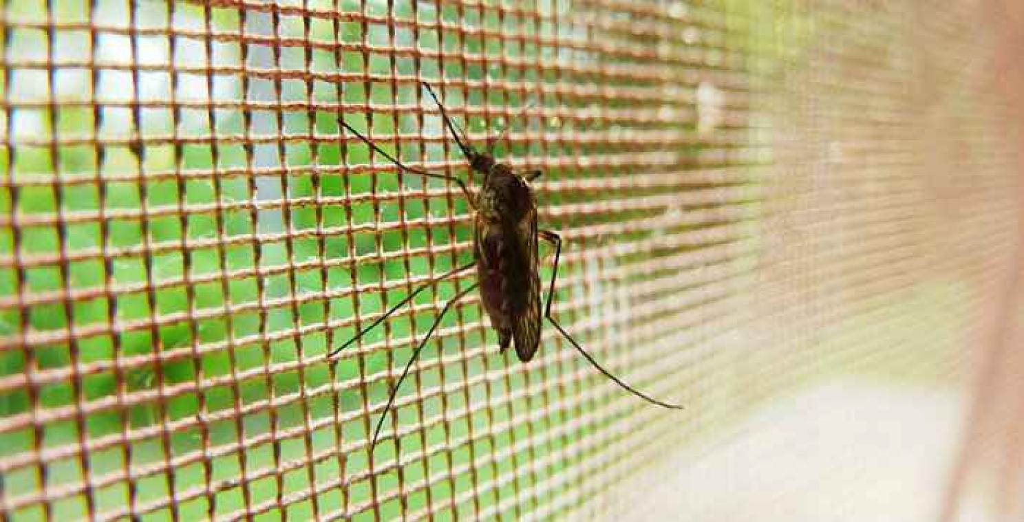 Ademtest spoort malaria op