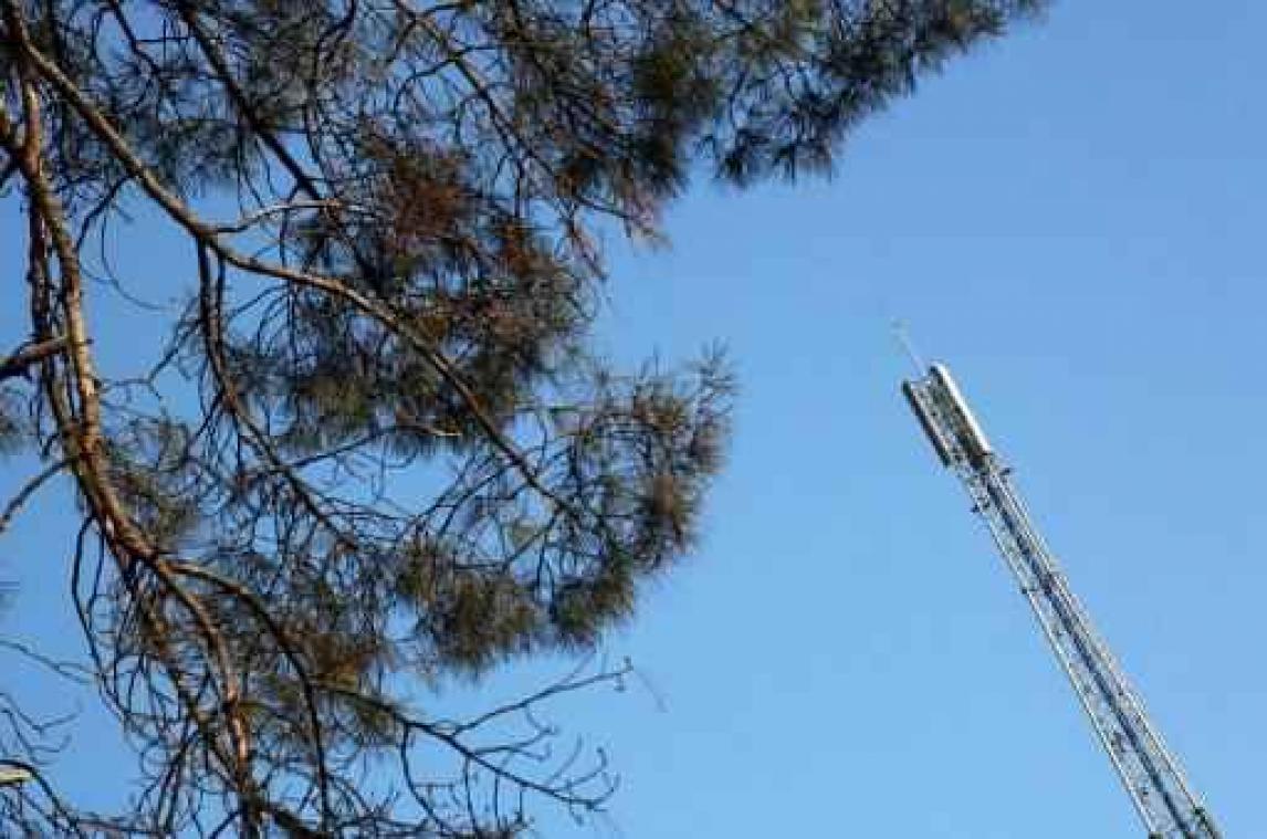 Grondwettelijk Hof annuleert Waalse gsm-mastentaks opnieuw