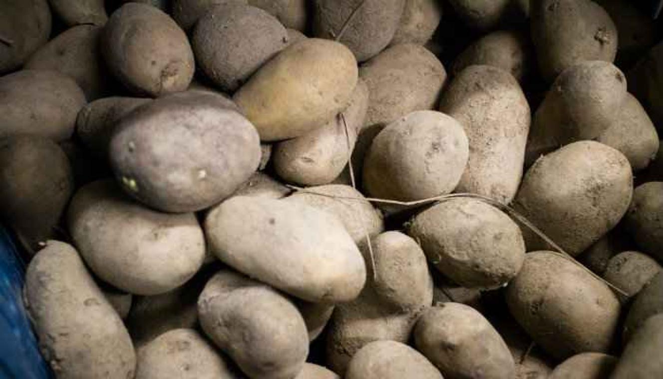 Een handig trucje om in een minuutje een kilo aardappelen te schillen