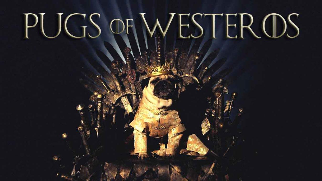 Deze Game of Thrones-remake met mopshondjes is de beste tot nu toe