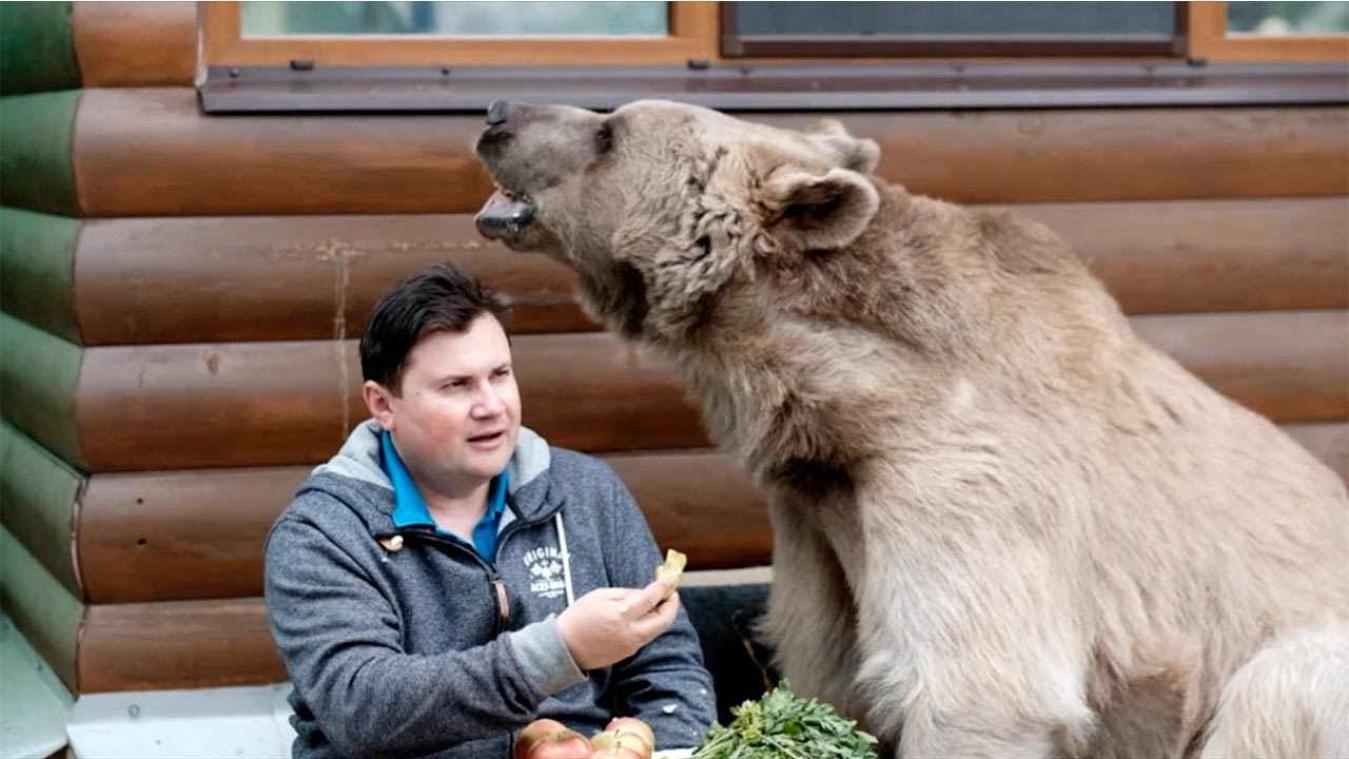 Russisch koppel adopteert beer als huisdier